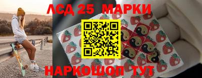 spice Бердск