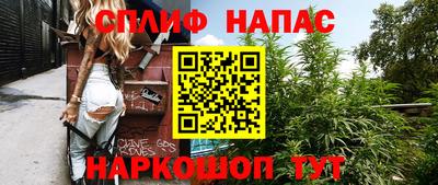 прущие грибы Гатчина