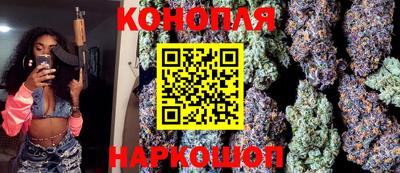 прущие грибы Гатчина