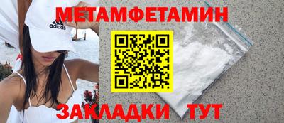 прущие грибы Гатчина