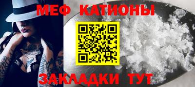прущие грибы Гатчина
