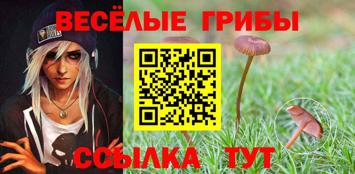 Псилоцибиновые грибы GOLDEN TEACHER Кудрово