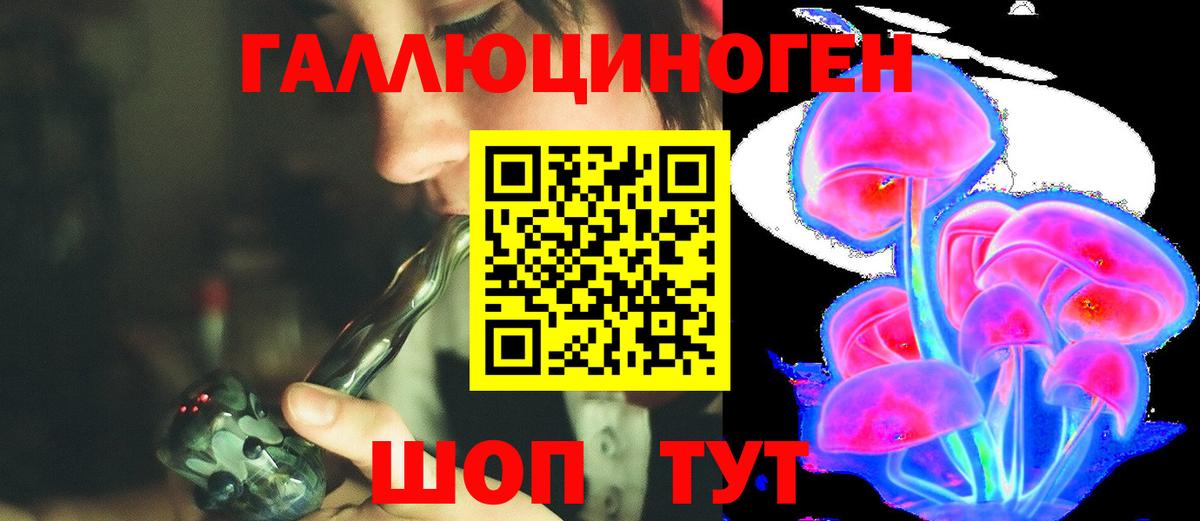 Кудрово  купить наркоту  Вход с VPN  Псилоцибиновые грибы Cubensis 